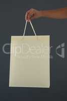 Cropped hand of female customer holding shopping bag