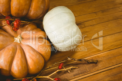 Pumpkins with plant stems on table during Halloween