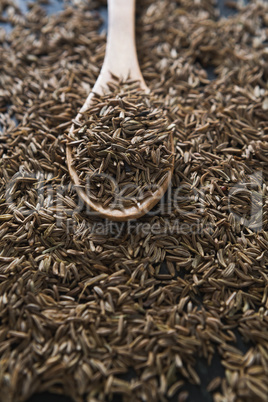 Cumin with spoon