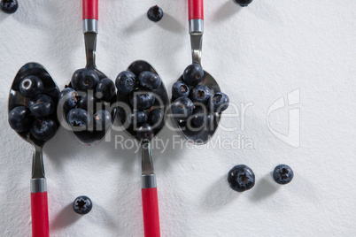 Blueberries arranged in a spoon