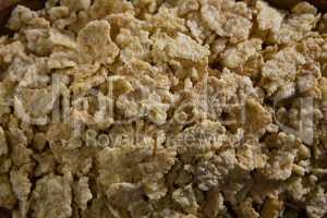 Close-up of wheat flakes