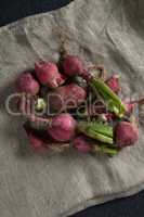 High angle view of red radishes