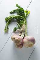 High angle view of turnip bunch