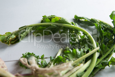 Close-up of turnips