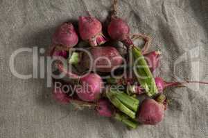 Overhead view of red radishes