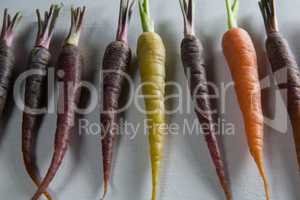 Close-up of carrots arranged on table
