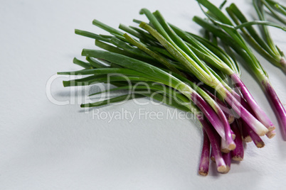 Scallions on white background