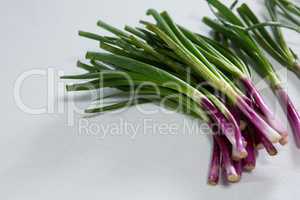 Scallions on white background