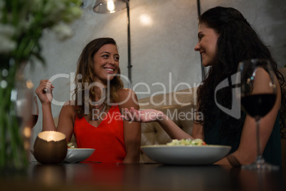 Happy friend interacting with each other while dining