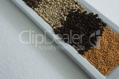 Various spices in tray on white background