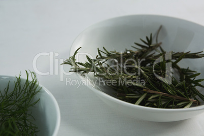 Rosemary in bowl