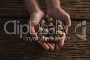 Hands holding nutmeg against wooden table