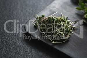 Herb in a chopping board