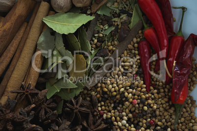 Various spices on white background