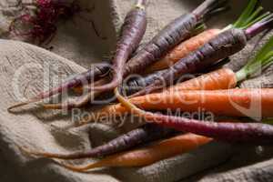 Fresh carrots on napkin