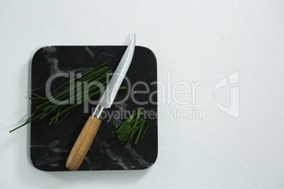 Scallions and knife on black slate plate