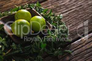 Lime fruits in a bowl with herbs