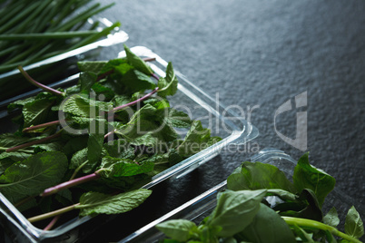 Various type of herbs in plastic tray