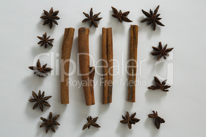 Star anise and cinnamon sticks on white background