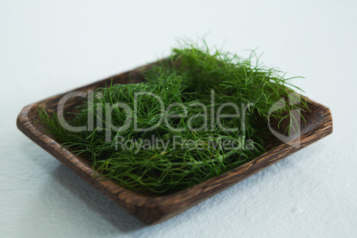 Dill herb in wooden tray