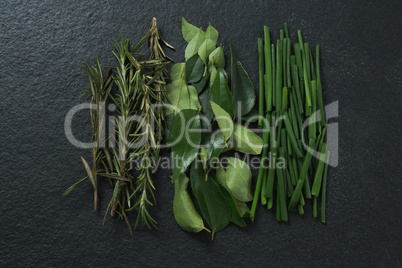 Rosemary, curry leaf and garlic chives on black background