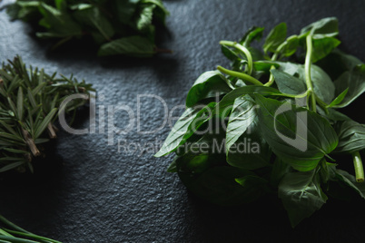 Various type of herbs