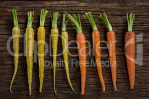Carrots arranged on wooden table