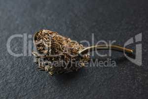 Cumin seeds in spoon on black background