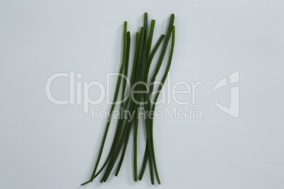 Garlic chives on white background