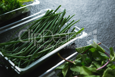 Various type of herbs in plastic tray