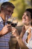 Smiling couple toasting a glass of red wine