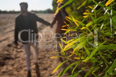 Close-up of plants by couple on field