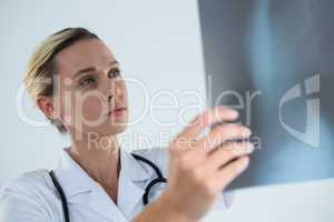 Close up of female doctor examining X-ray