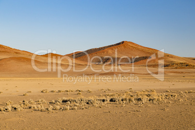 Sanddünen in Sossusvlei, Namibia, sand dunes in Sossusvlei, Nam