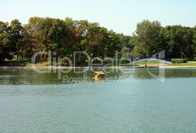 summer in city park