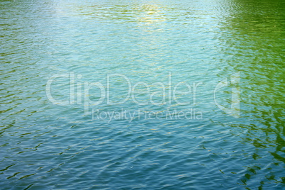 ripple on water in city park pond