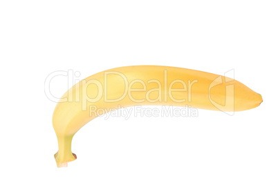 raw Yellow Banana Isolated