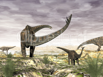 Spinophorosaurus dinosaurs herd - 3D render