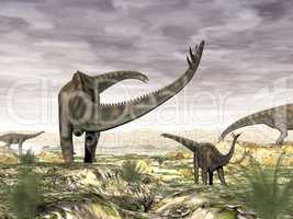 Spinophorosaurus dinosaurs herd - 3D render