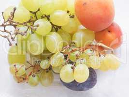 grape apricot and prune fruit