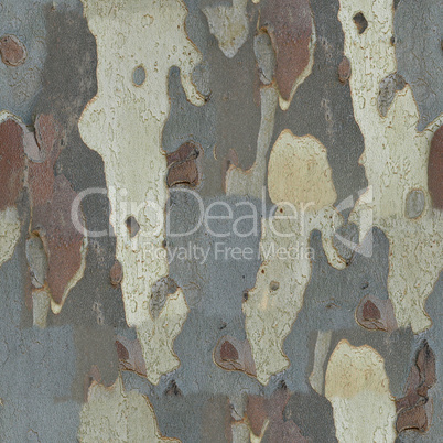 seamless texture bark background