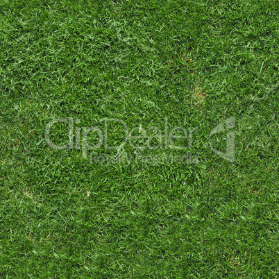 seamless green grass texture background