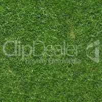 seamless green grass texture background