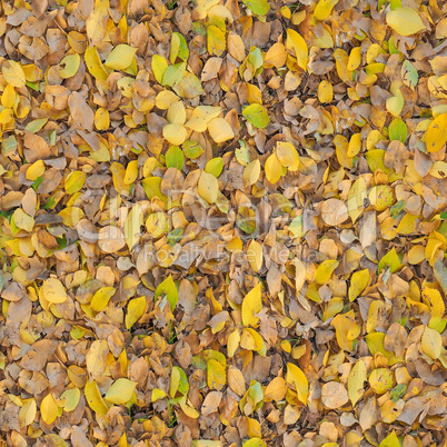 seamless brown leaves texture background