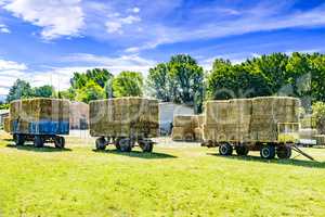 Hay and straw charged on trailer