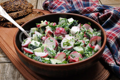 Salad from radish and cucumber