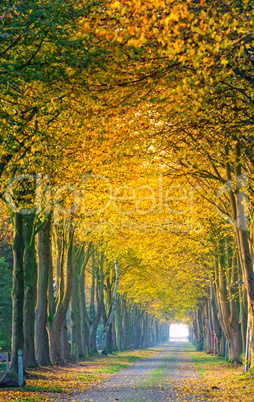 autumn in East Frisia