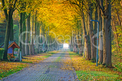 autumn in East Frisia