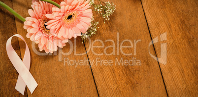 Close-up of pink Breast Cancer Awareness ribbon by gerbera flowers