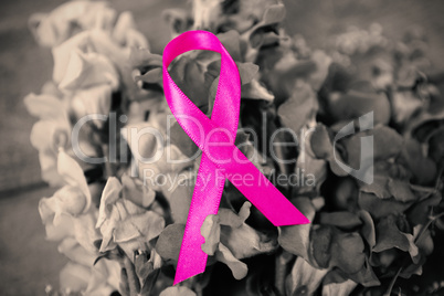 Close-up of pink Breast Cancer Awareness ribbon on flowers